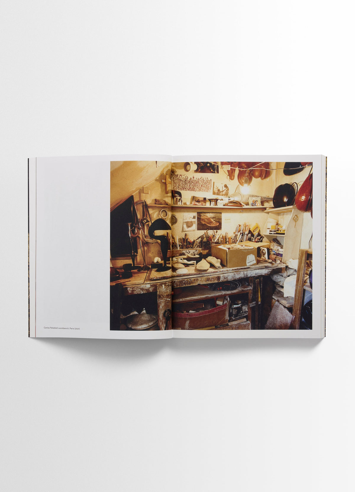 CARLOS PEÑAFIEL BOOK