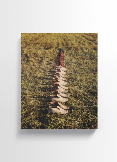 CARLOS PEÑAFIEL BOOK