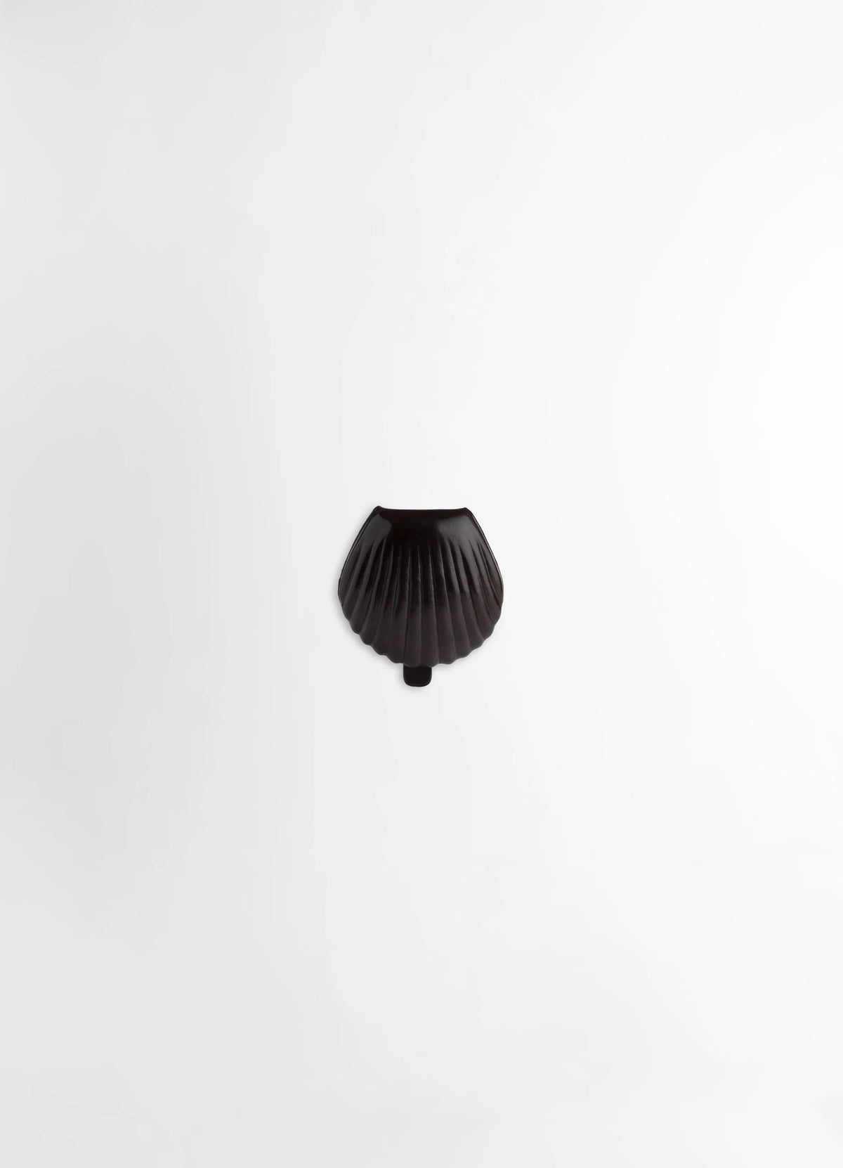 CARLOS SHELL COIN PURSE