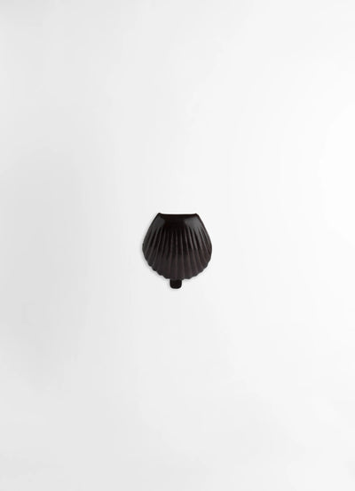 CARLOS SHELL COIN PURSE