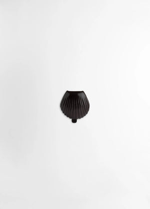 CARLOS SHELL COIN PURSE