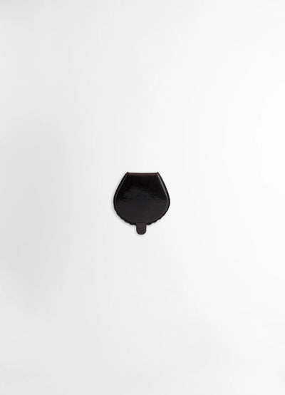CARLOS SHELL COIN PURSE