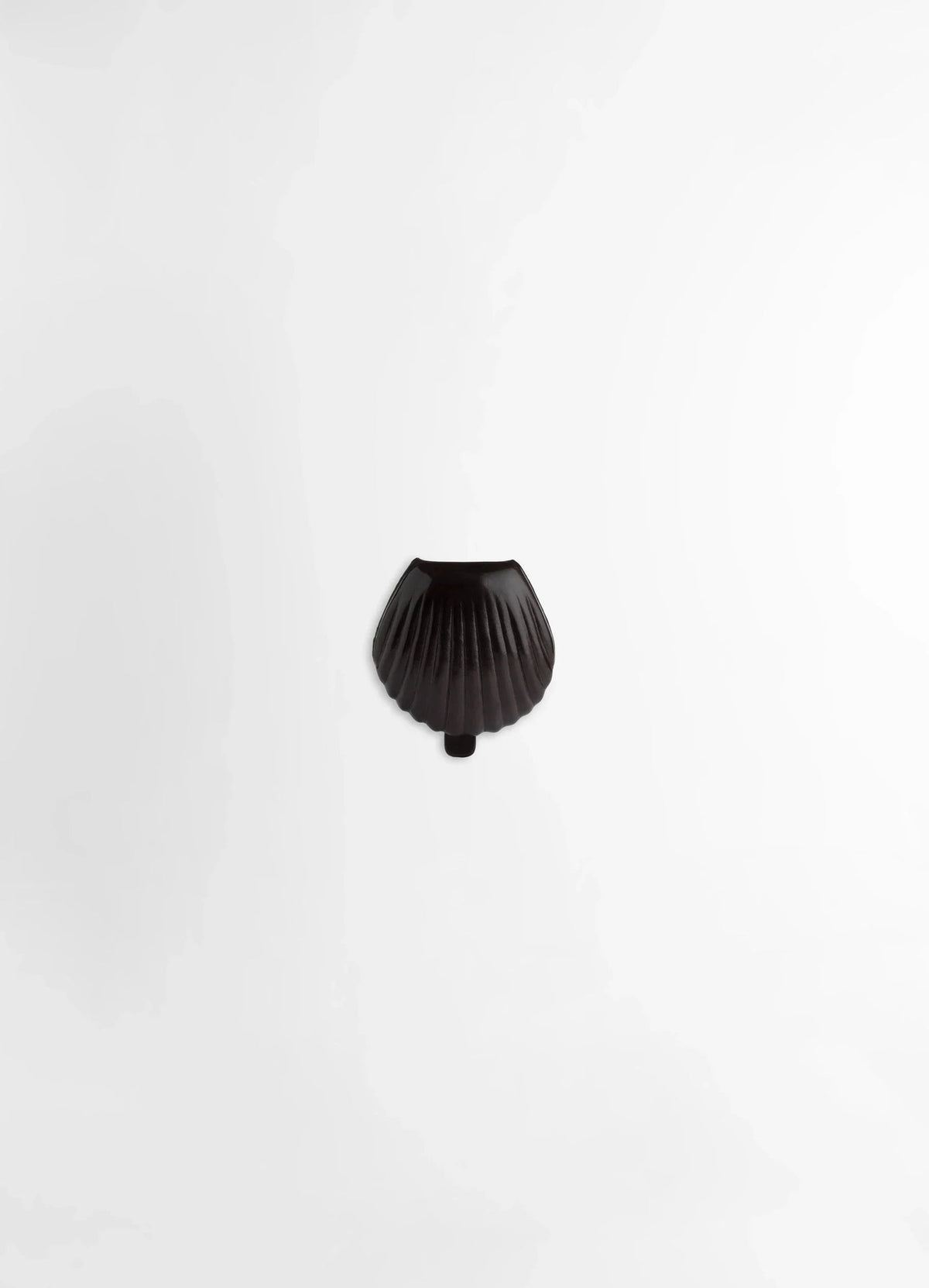 CARLOS PEÑAFIEL SHELL COIN PURSE